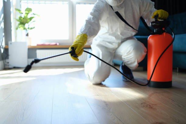 Reliable Biohazard Cleanup contractor in Madison, IL by Trauma Clean Pros